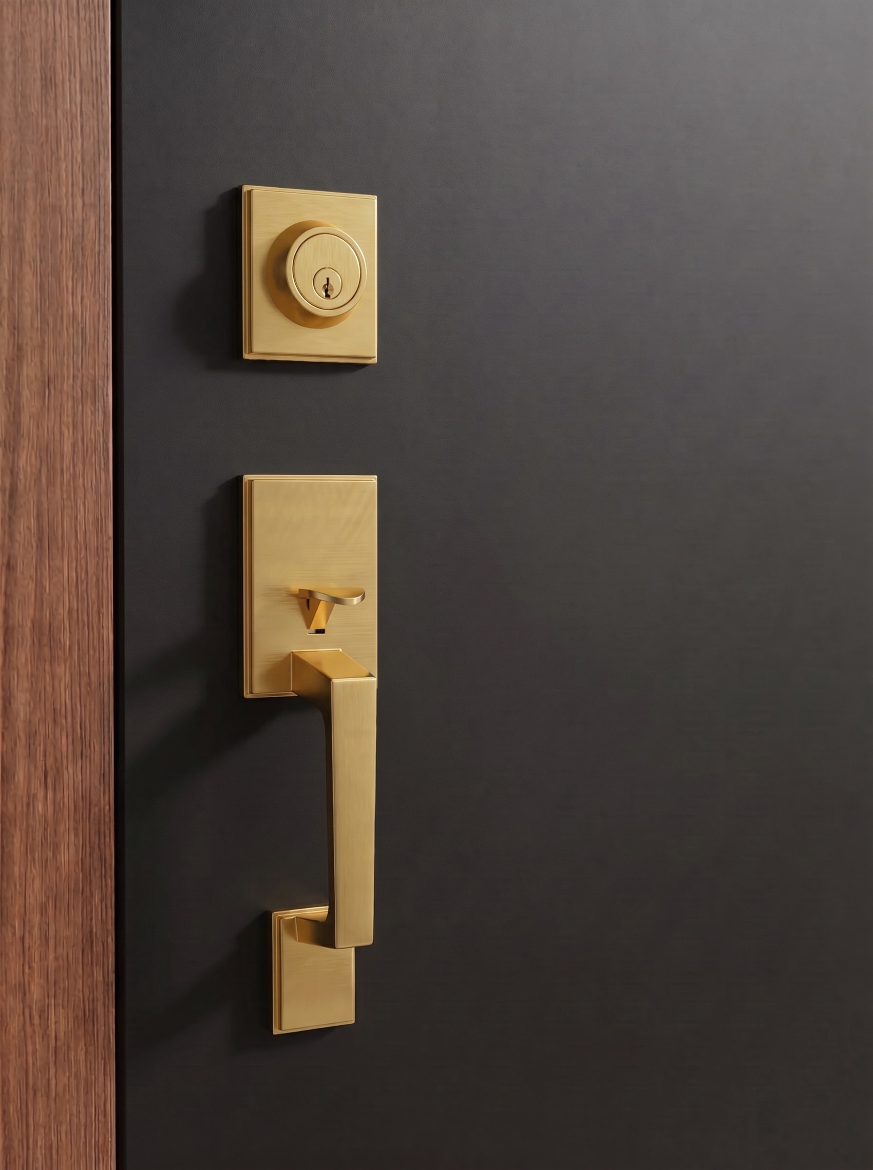 Carlton lever installed on a door