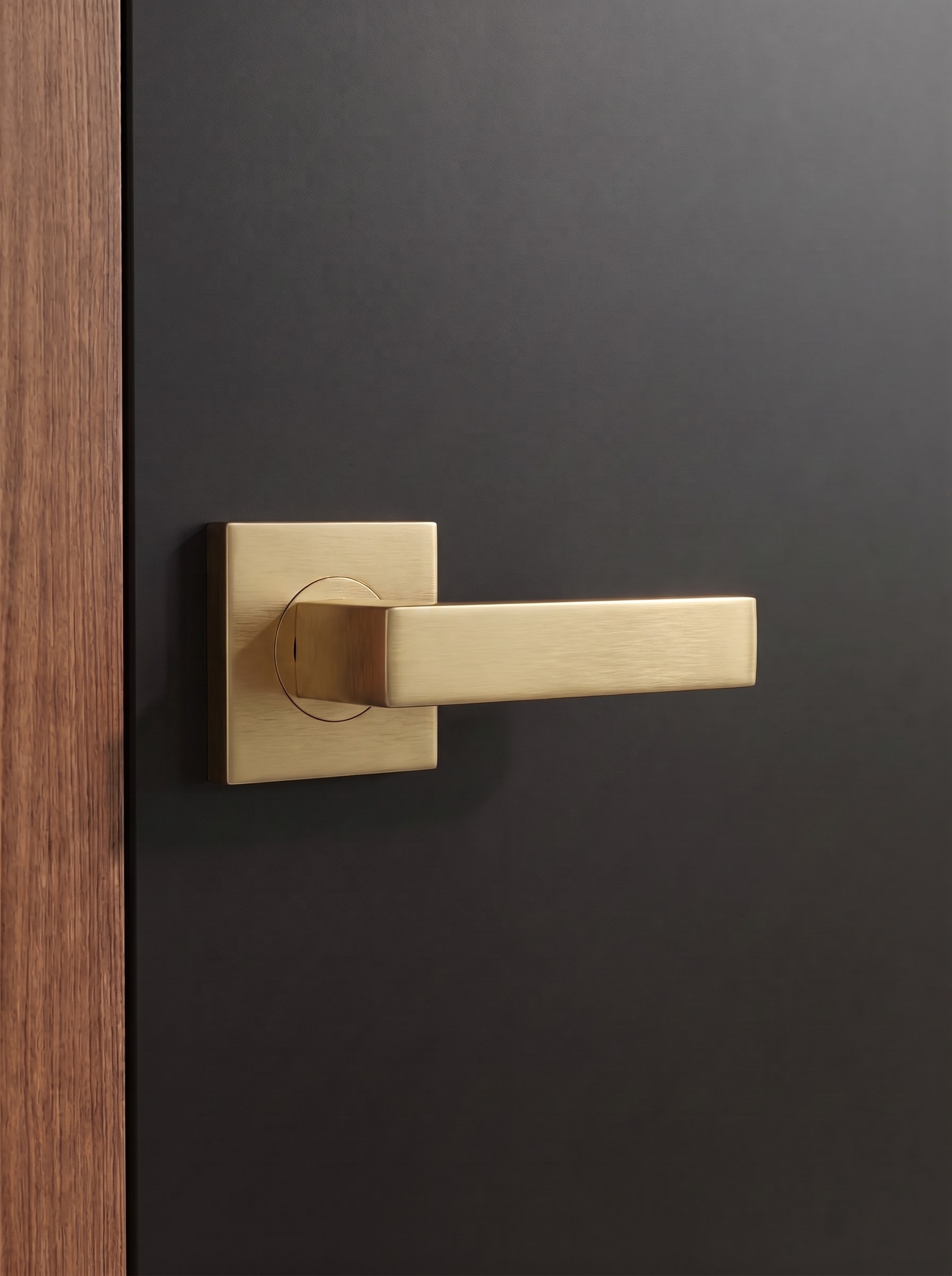 Elwood lever installed on a door