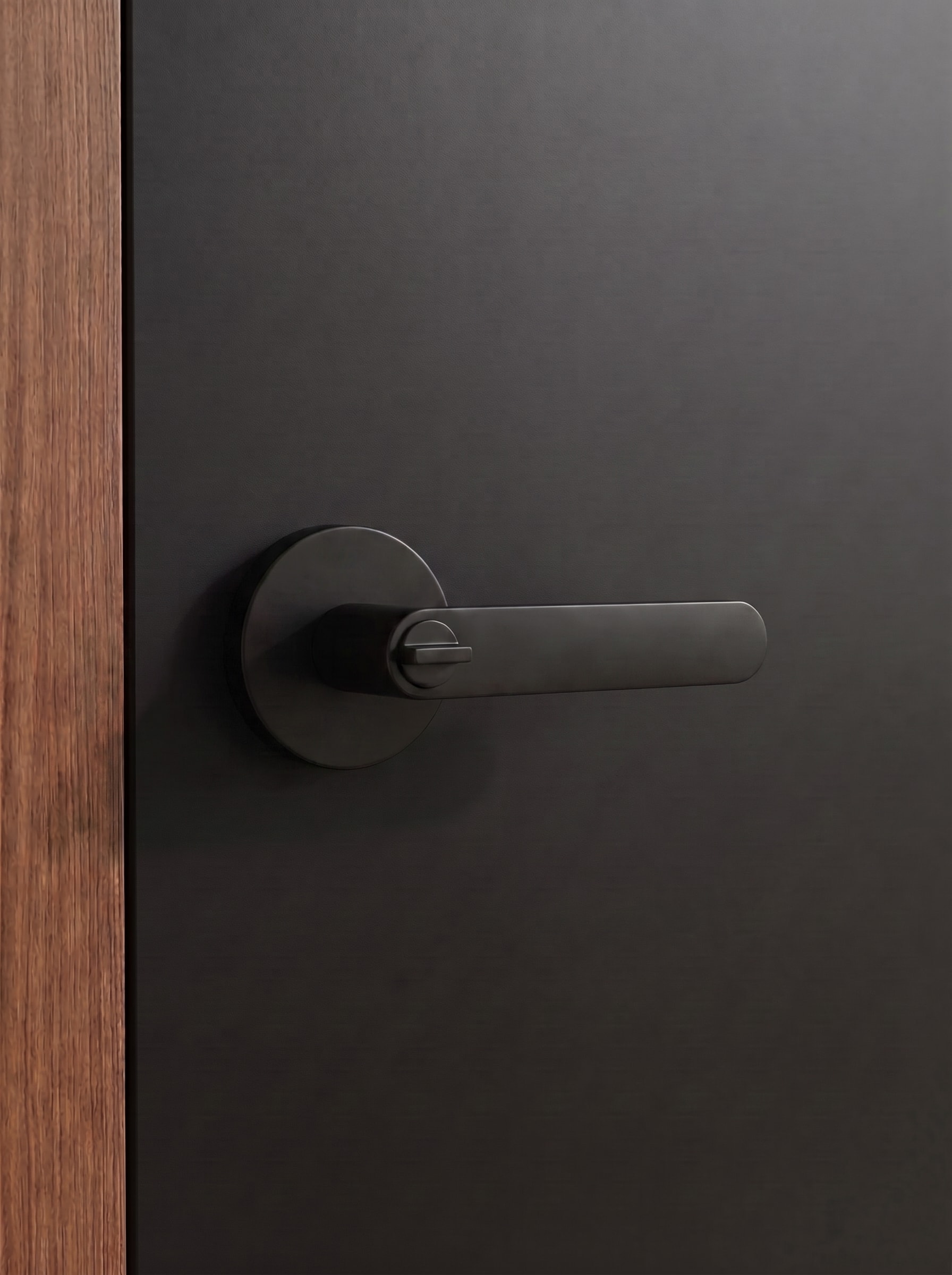 Hampton lever installed on a door