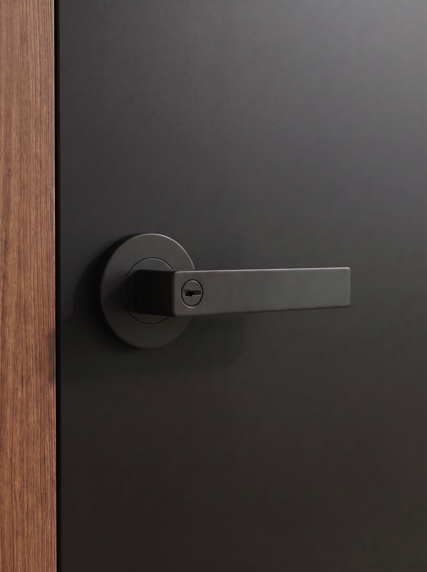 Vermont lever installed on a door